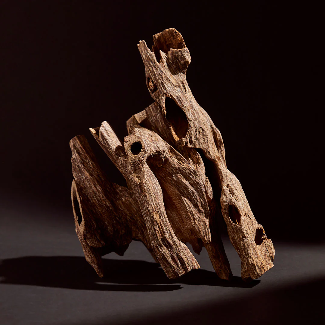 Oud Chips - Image 5