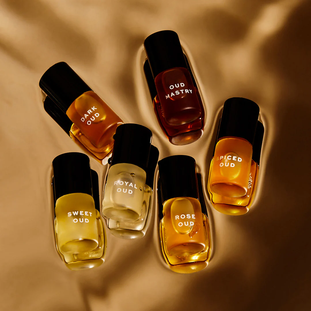 Discovery Collection - Image 3